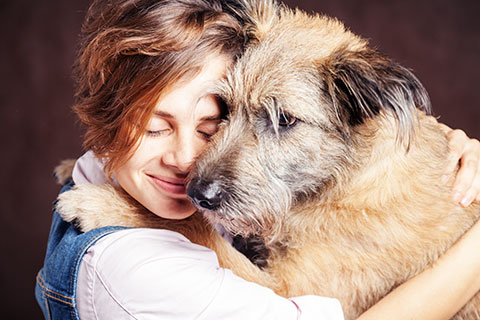Adopt